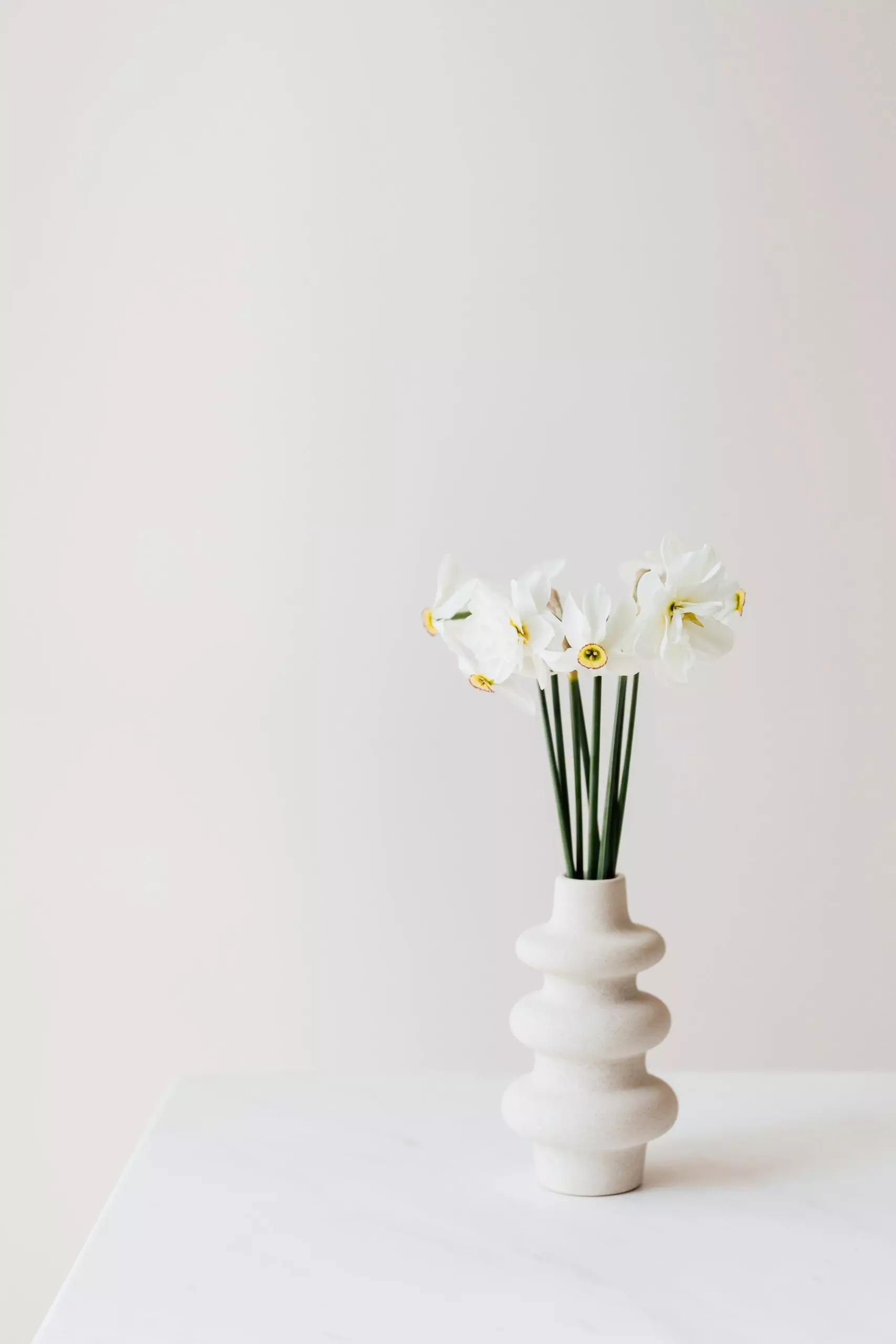 WordPress website